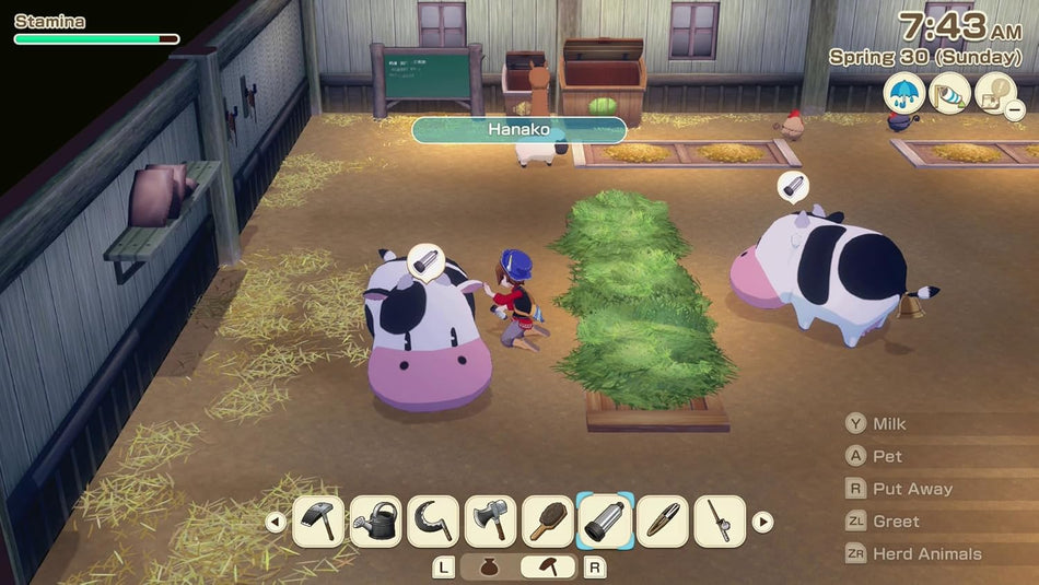 STORY OF SEASONS: Grand Bazaar - Nintendo Switch 2