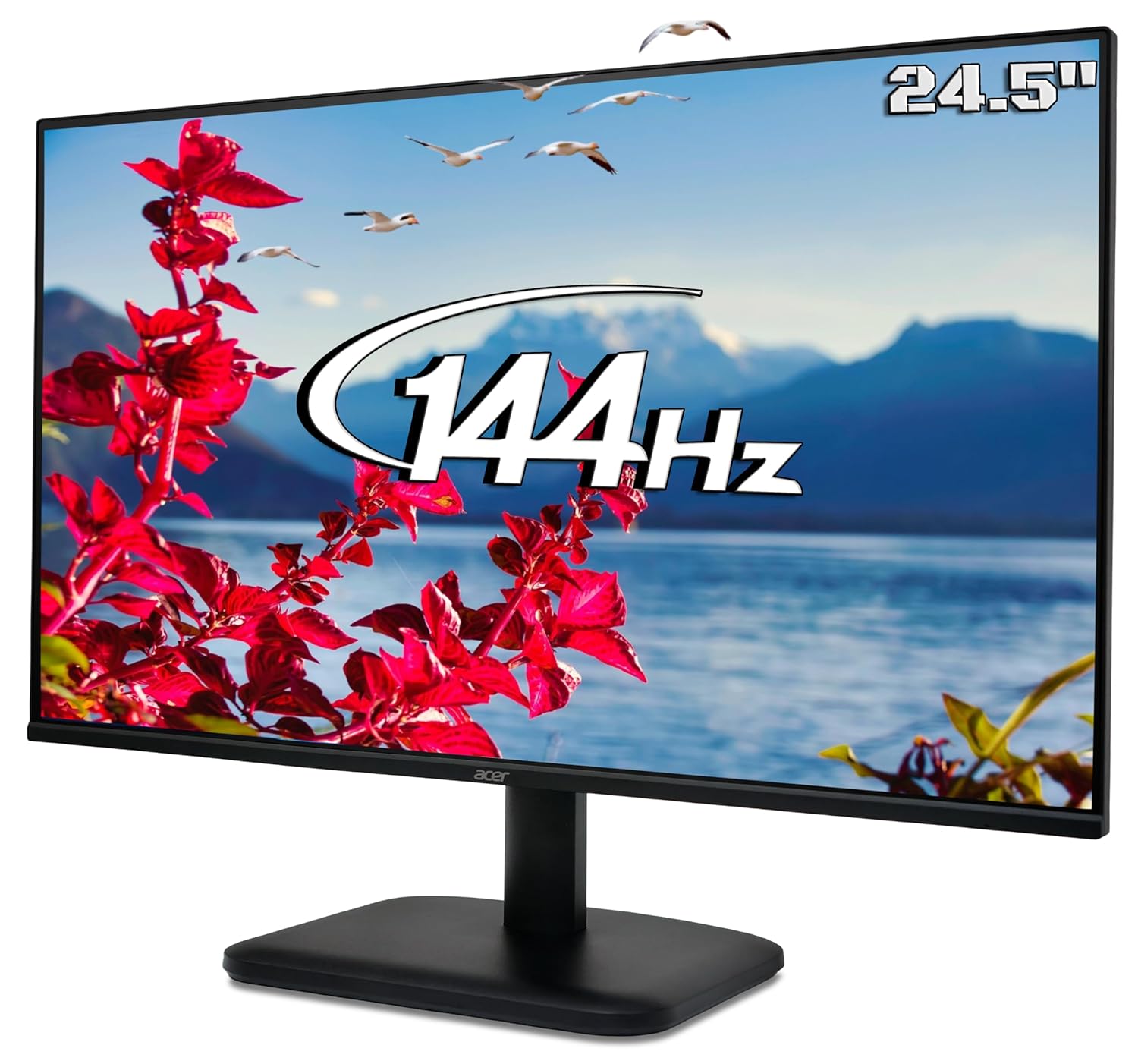 Acer EK1 Series EK251Q P6 24.5-inch Full HD Gaming Monitor (IPS