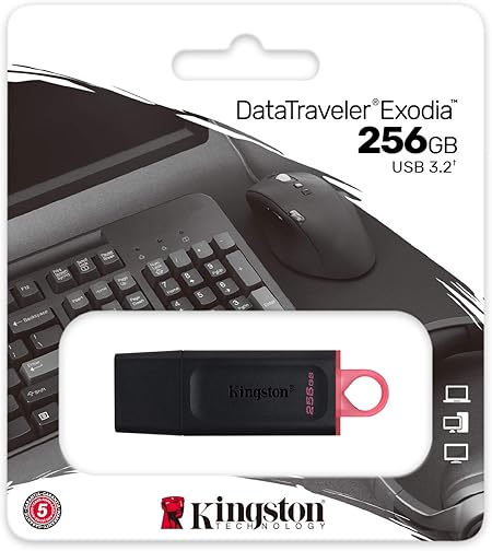 Kingston DataTraveler Exodia 256GB USB 3.2 Flash Drive DTX/256GB, Black