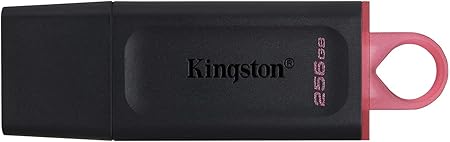 Kingston DataTraveler Exodia 256GB USB 3.2 Flash Drive DTX/256GB, Black