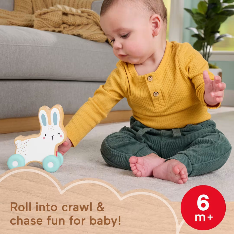Fisher-Price Wooden Push-Along Bunny Infant Toy Vehicle (JDM52) – FSC-Certified Wood. for Crawling Developmental Play for Infants Ages 6+ Months