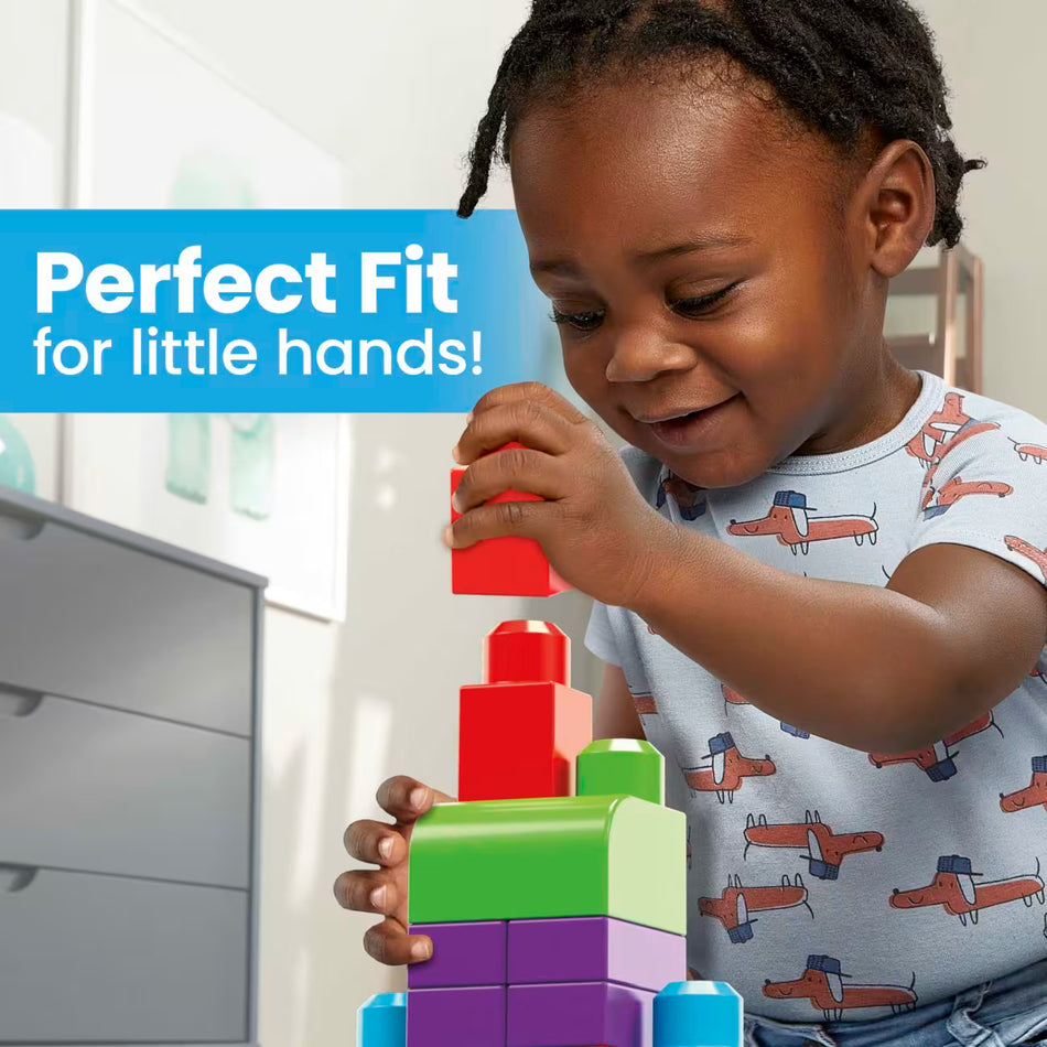 Mega Bloks First Builders 60-Piece Big Building Bag (DCH55) by Mattel